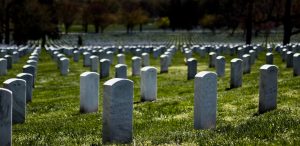 Green burial is better for the environment than conventional burial, which includes vertical headstones, as seen in this image.